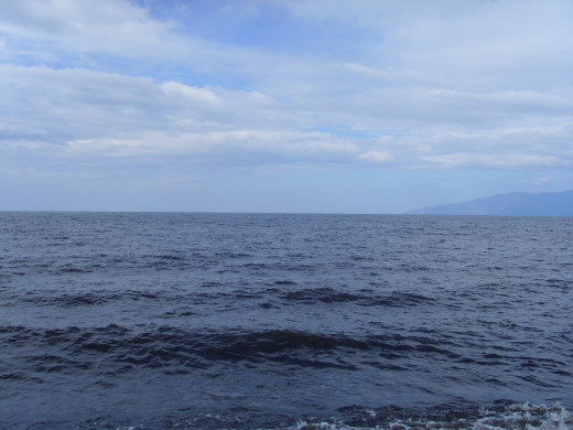 656210 (a): :1600x1200